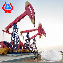 Grau de perfuração de petróleo CMC e PAC fábrica venda direta com alta pureza e viscosidade aparente